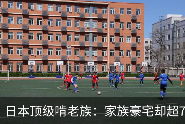 日本顶级啃老族：家族豪宅却超70年不工作不结婚，遗产花完就去死